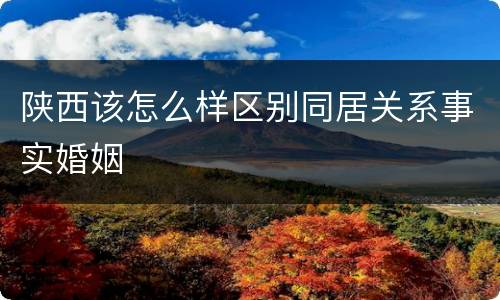 陕西该怎么样区别同居关系事实婚姻