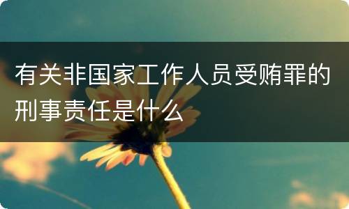 有关非国家工作人员受贿罪的刑事责任是什么