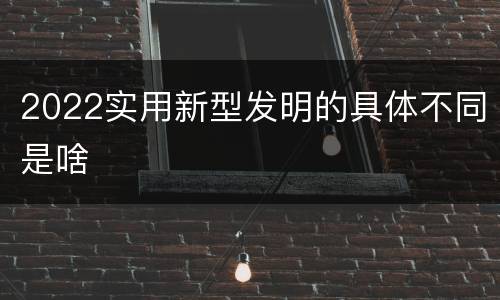 2022实用新型发明的具体不同是啥