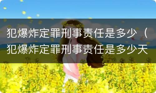 犯爆炸定罪刑事责任是多少（犯爆炸定罪刑事责任是多少天）