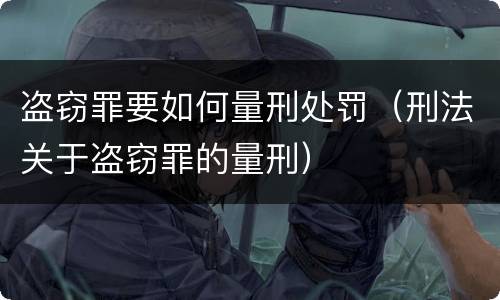 盗窃罪要如何量刑处罚（刑法关于盗窃罪的量刑）