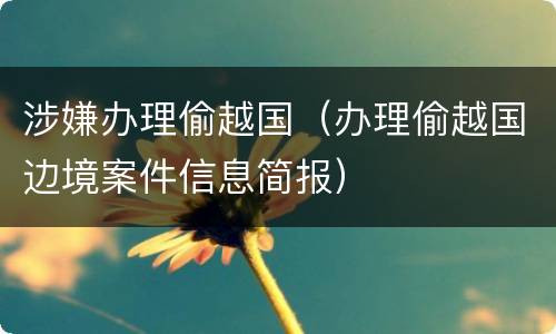 涉嫌办理偷越国（办理偷越国边境案件信息简报）