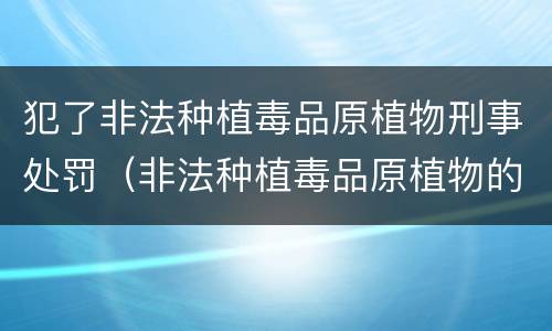 犯了非法种植毒品原植物刑事处罚（非法种植毒品原植物的处罚）