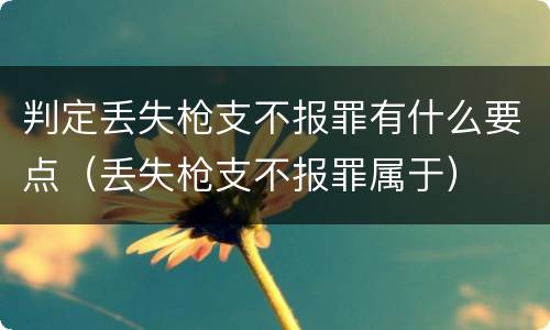 判定丢失枪支不报罪有什么要点（丢失枪支不报罪属于）