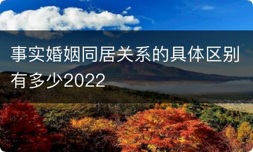事实婚姻同居关系的具体区别有多少2022