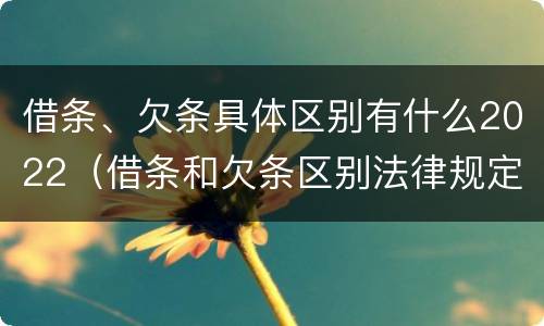 借条、欠条具体区别有什么2022（借条和欠条区别法律规定）