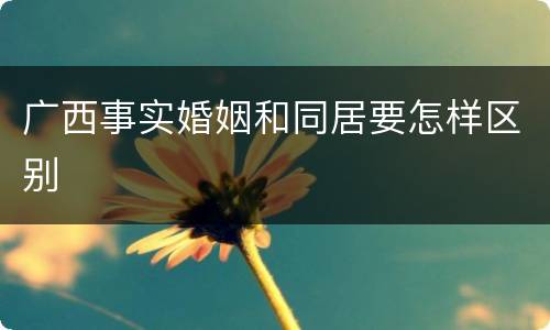 广西事实婚姻和同居要怎样区别