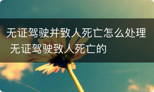 无证驾驶并致人死亡怎么处理 无证驾驶致人死亡的