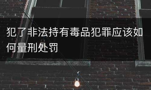 犯了非法持有毒品犯罪应该如何量刑处罚