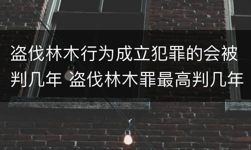 盗伐林木行为成立犯罪的会被判几年 盗伐林木罪最高判几年