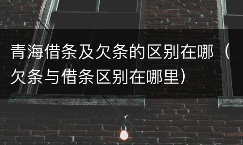 青海借条及欠条的区别在哪（欠条与借条区别在哪里）