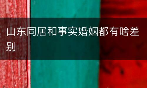 山东同居和事实婚姻都有啥差别