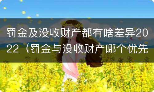 罚金及没收财产都有啥差异2022（罚金与没收财产哪个优先）
