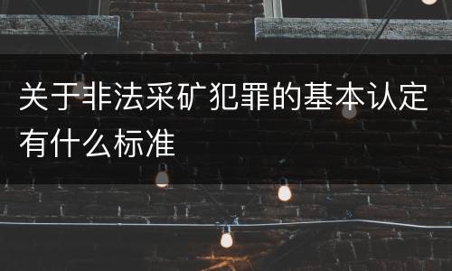 关于非法采矿犯罪的基本认定有什么标准