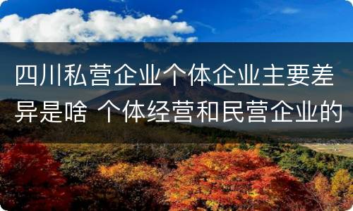 四川私营企业个体企业主要差异是啥 个体经营和民营企业的区别