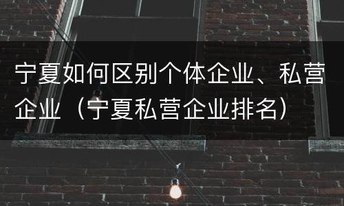 宁夏如何区别个体企业、私营企业（宁夏私营企业排名）