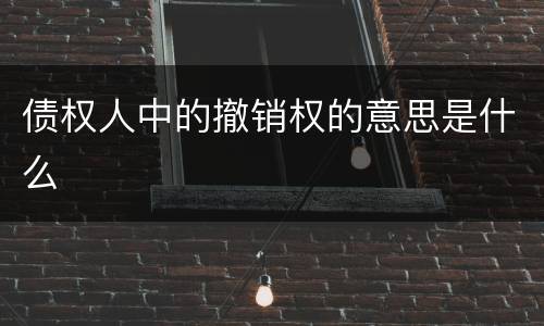 债权人中的撤销权的意思是什么