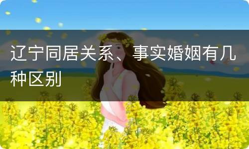 辽宁同居关系、事实婚姻有几种区别