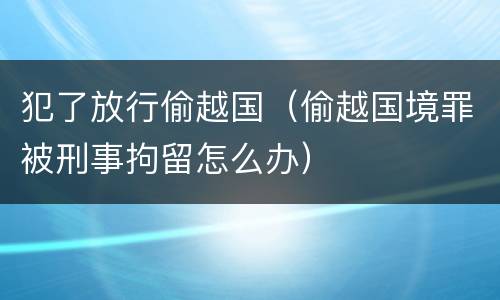 犯了放行偷越国（偷越国境罪被刑事拘留怎么办）
