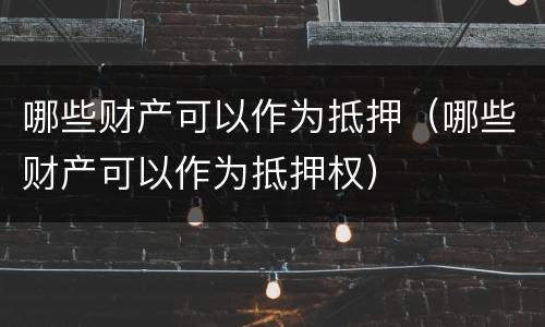 哪些财产可以作为抵押（哪些财产可以作为抵押权）