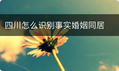 四川怎么识别事实婚姻同居