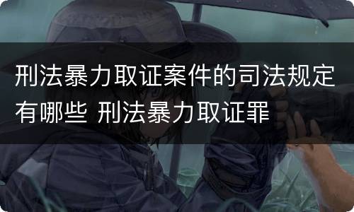 刑法暴力取证案件的司法规定有哪些 刑法暴力取证罪