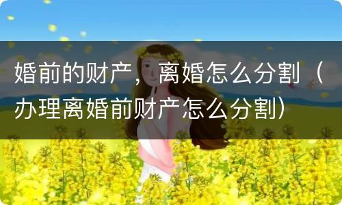 婚前的财产，离婚怎么分割（办理离婚前财产怎么分割）