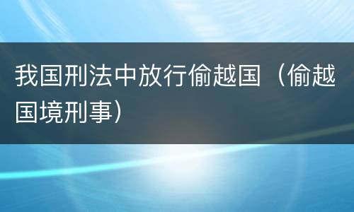 我国刑法中放行偷越国（偷越国境刑事）