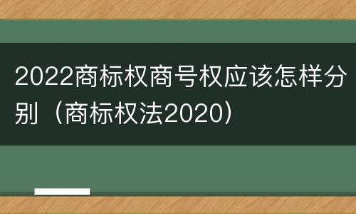 2022商标权商号权应该怎样分别（商标权法2020）