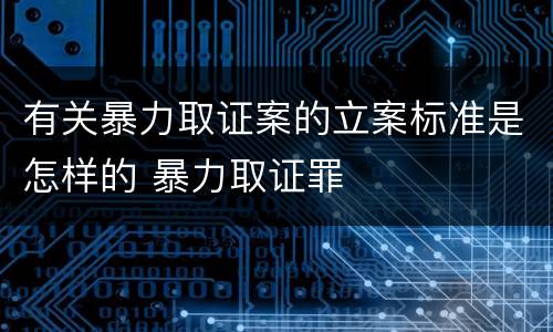 有关暴力取证案的立案标准是怎样的 暴力取证罪