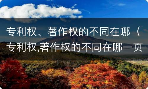 专利权、著作权的不同在哪（专利权,著作权的不同在哪一页）