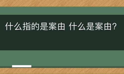 什么指的是案由 什么是案由?