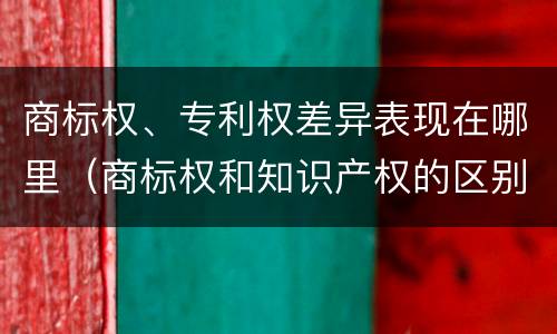 商标权、专利权差异表现在哪里（商标权和知识产权的区别）