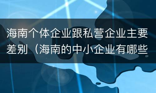 海南个体企业跟私营企业主要差别（海南的中小企业有哪些）