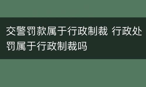 交警罚款属于行政制裁 行政处罚属于行政制裁吗