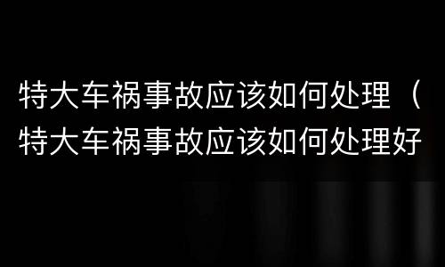 特大车祸事故应该如何处理（特大车祸事故应该如何处理好）