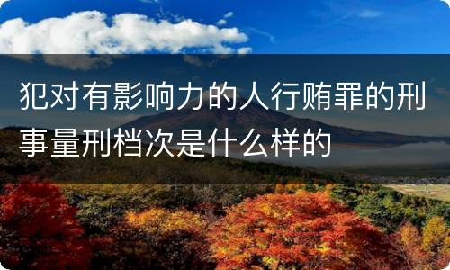 犯对有影响力的人行贿罪的刑事量刑档次是什么样的