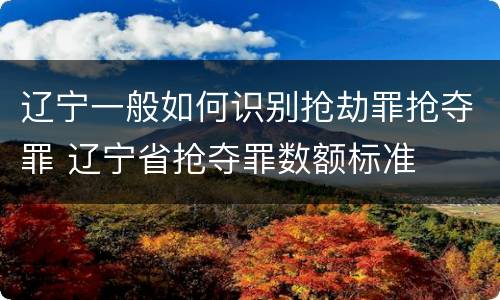 辽宁一般如何识别抢劫罪抢夺罪 辽宁省抢夺罪数额标准
