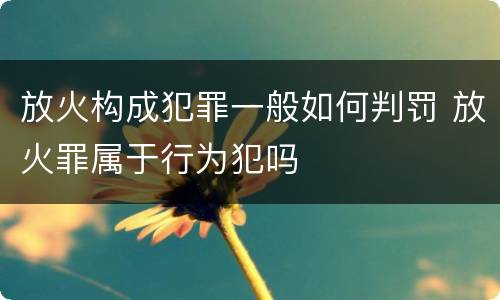 放火构成犯罪一般如何判罚 放火罪属于行为犯吗