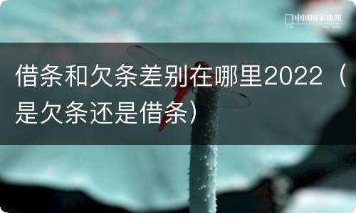 借条和欠条差别在哪里2022（是欠条还是借条）