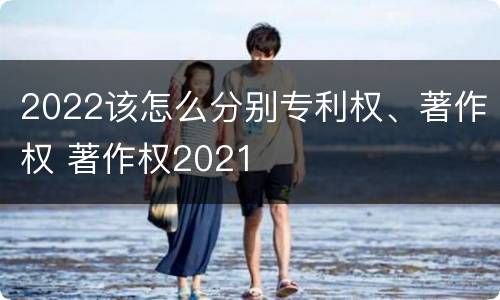 2022该怎么分别专利权、著作权 著作权2021
