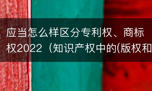 应当怎么样区分专利权、商标权2022（知识产权中的(版权和商标权与标准）