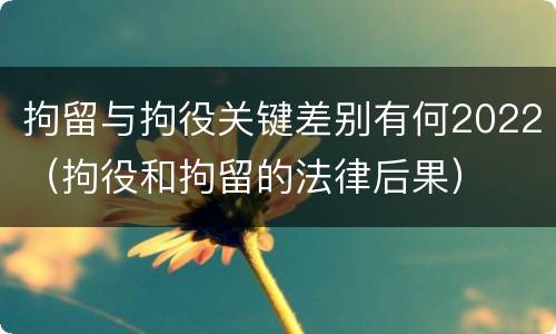 拘留与拘役关键差别有何2022（拘役和拘留的法律后果）