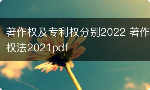 著作权及专利权分别2022 著作权法2021pdf