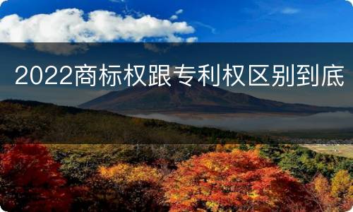 2022商标权跟专利权区别到底