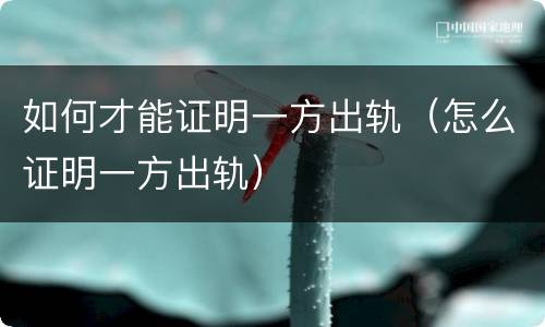 如何才能证明一方出轨（怎么证明一方出轨）