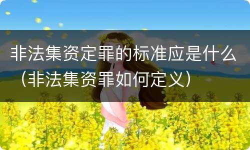 非法集资定罪的标准应是什么（非法集资罪如何定义）