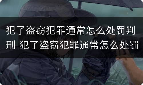 犯了盗窃犯罪通常怎么处罚判刑 犯了盗窃犯罪通常怎么处罚判刑的