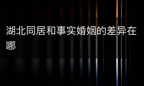 湖北同居和事实婚姻的差异在哪