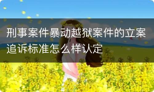 刑事案件暴动越狱案件的立案追诉标准怎么样认定